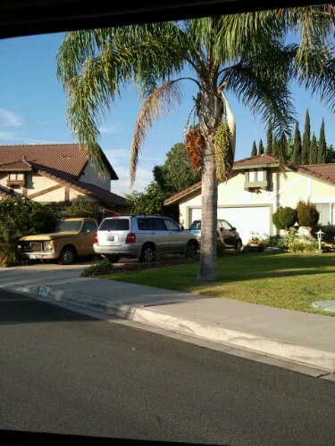 2012-07-18 18.46.00.jpg image