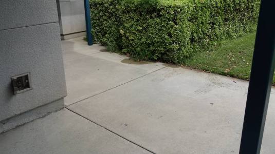 This is the area just outside of classrooms at Dollahan Elementary 