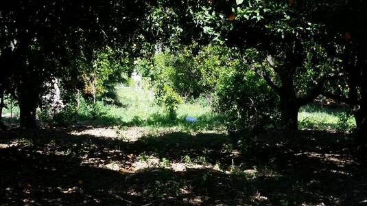 A new area under development for weddings and events