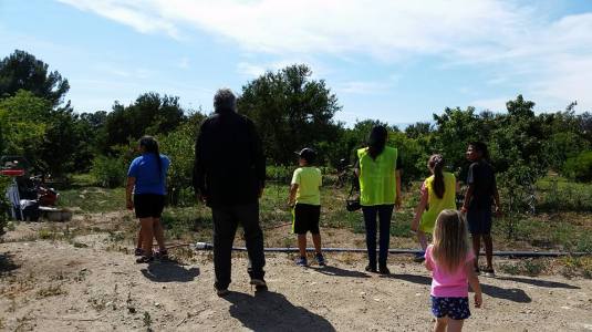 Students looking over the orchard with family owner John Adams