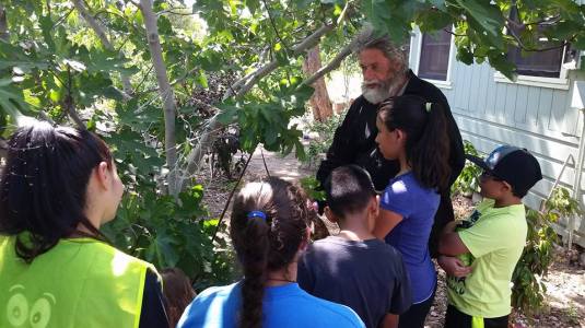 Students learning about grafting